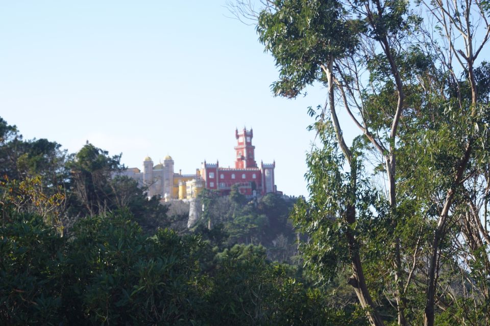 Sintra & Cascais: Private Full Day Tour - Meeting Point Details