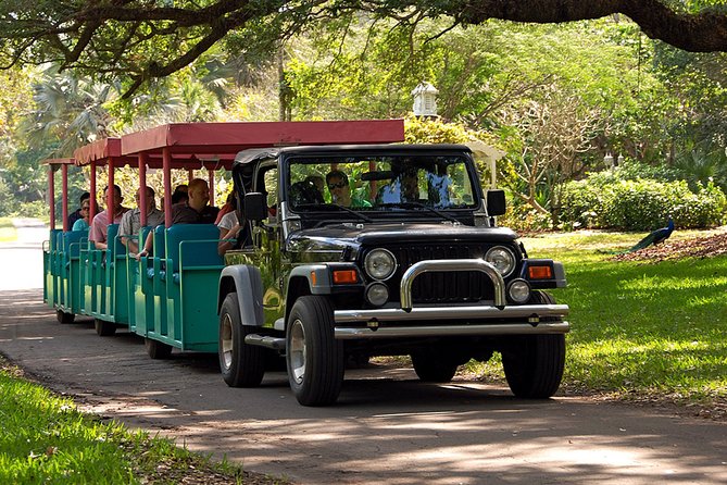 Skip the Line: Flamingo Gardens Admission Ticket in Fort Lauderdale - Visitor Information and Tips