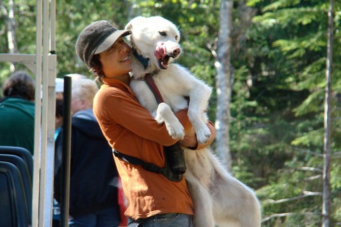 Sled Dog Discovery in Skagway - Customer Reviews and Insights
