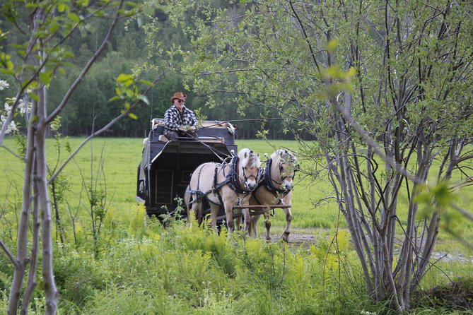 Sleigh Ride W/ Snacks - Experience Arctic Farm Life - The Beauty of Arctic Farm Life