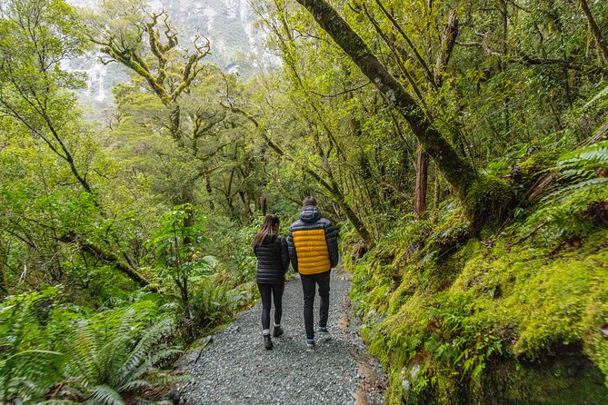 Small Group, Award Winning Full Day Milford Sound Experience - Booking and Cancellation Policy