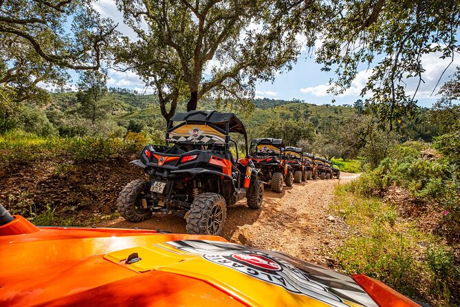 Small-Group Buggy Riding Safari in Algarve - Customer Reviews