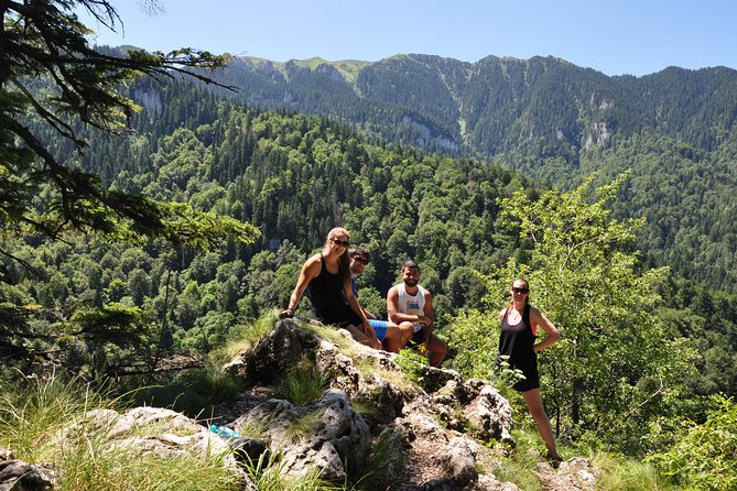 Small-Group Day Trip to the Epic 7 Ladders Canyon From Brasov - Customer Reviews