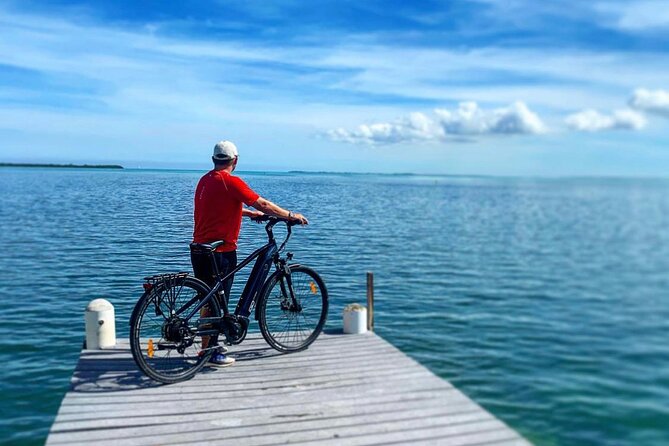 Small Group E-Bike Grand Cayman Ecological Half-Day Tour - Ecological Highlights