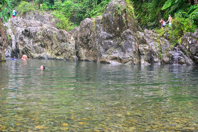 Small-Group El Yunque Rainforest Vivid Day Tour With Transport - Unforgettable Rainforest Experience