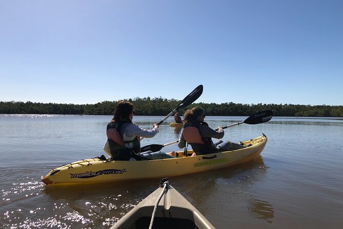Small-Group Everglades Boating Kayaking and Walking Eco Tour - Customer Experiences