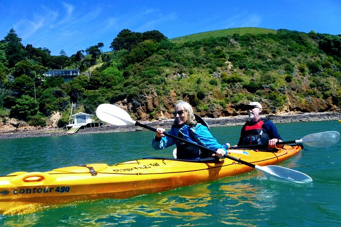 Small Group Guided Sea Kayaking in Akaroa Marine Reserve - Wildlife Spotting Opportunities