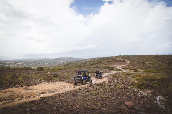 Small-Group Half-Day UTV Adventure Morning Tour in Aruba - Hassle-free Pickup and Drop-off
