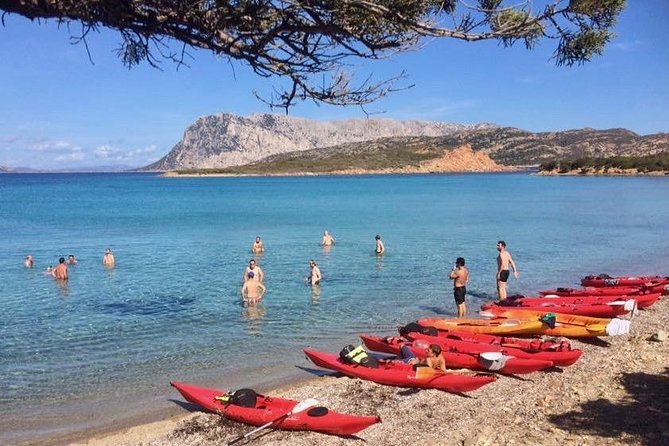 Small Group Kayak Tour With Snorkeling and Fruit - Additional Traveler Information