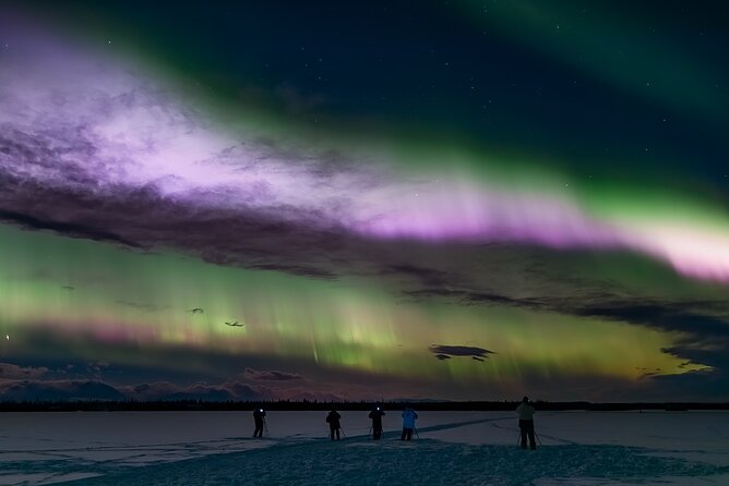 Small Group Northern Lights Tours In Interior Alaska From Fairbanks - Guest Testimonials