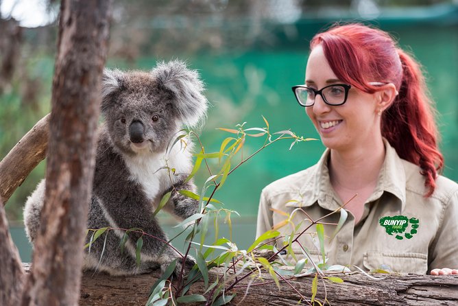 Small-Group Phillip Island Penguin Parade Day Tour From Melbourne - Pricing and Booking