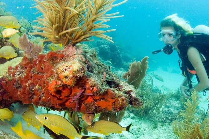 Small Group Scuba Diving Experience in Maiton Private Island - Deposit and Cancellation Policy