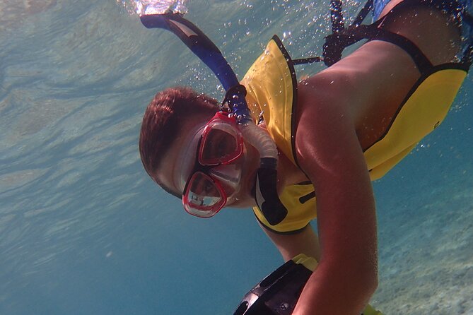 Small-Group Sea Scooters Snorkel at Mangel Halto Beach in Aruba - Confirmation and Accessibility