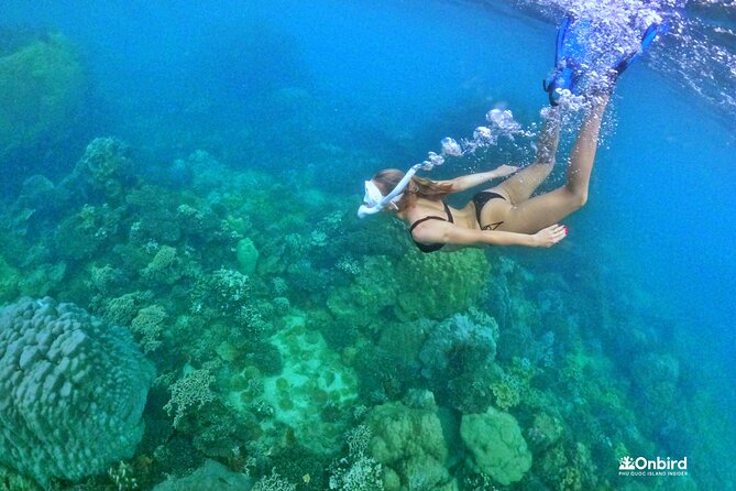 [Small-Group] SNORKELING & SUNSET MEAL at Private Beach-Max 9 PAX - Location Highlights