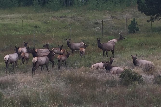 Small-Group Tour of the Rocky Mountain National Park From Denver - Booking Information
