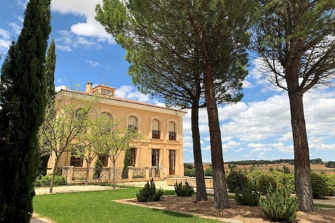 Small Group Tour - Ribera Del Duero Super Taster With Lunch - Accessibility and Dietary Needs