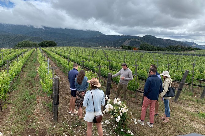 Small-Group Wine Tour to Private Locations in Santa Barbara - Customer Testimonials and Reviews