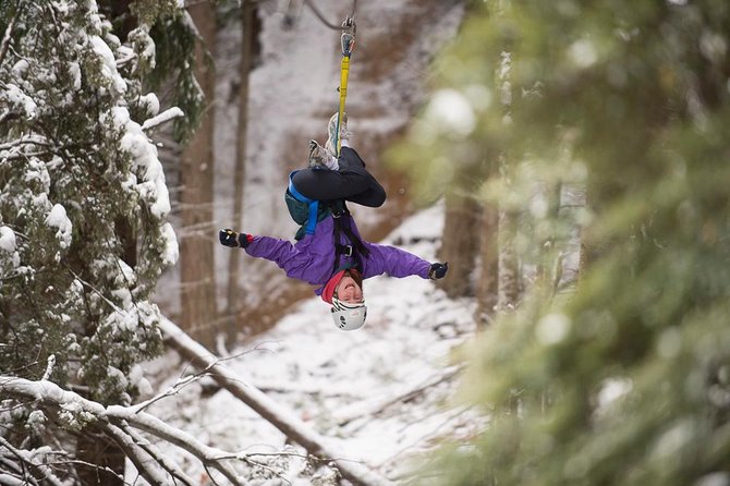 Small-Group Zipline Adventure in Queenstown - Reviews and Feedback