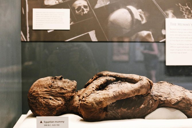 Smithsonian Museum of Natural History - Exclusive Guided Tour - Pricing Details