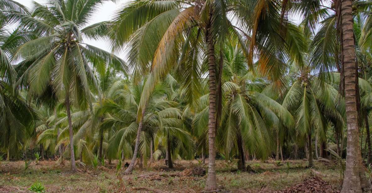 SMR TAYRONA NATIONAL PARK - Trek to Cabo San Juan - Overview of Tayrona National Park