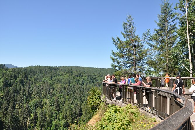 Snoqualmie Falls and Wineries Tour From Seattle - Customer Experiences