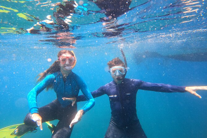 Snorkeling and Boat Tour in a Turtle Area - Customer Reviews and Experiences