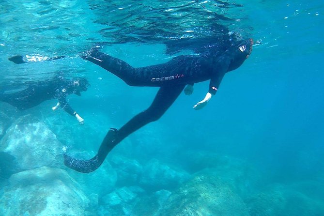 Snorkeling in Gran Canaria With Hotel Pick-Up - Quality Snorkeling Equipment