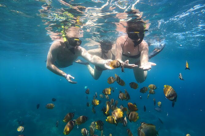 Snorkeling In Nusa Penida Departing From Bali Island - Exploring Nusa Penidas Aquatic Life