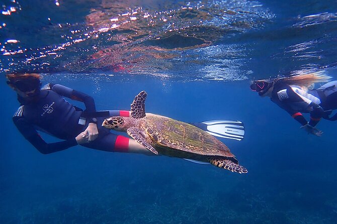 Snorkeling Trip to Pigeon Island - Accessibility and Requirements