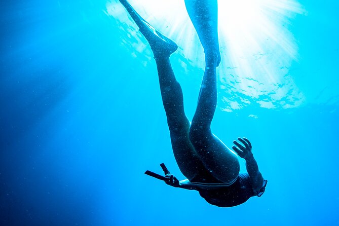 Snorkeling With Marine Biologist Expert From Sorrento - Tour Meeting and Endpoint