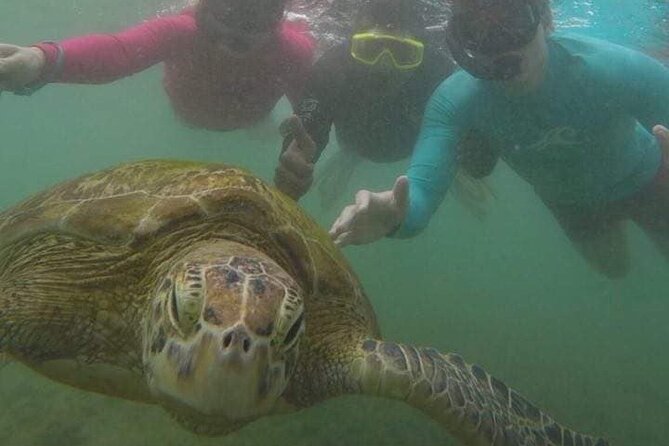 Snorkeling With Sea Turtles in Mirissa (Pickup and Drop Included) - Booking and Confirmation Process