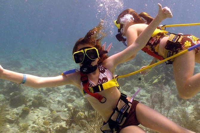 Snuba Adventure at Coral World Ocean Park - Tips for a Great Experience