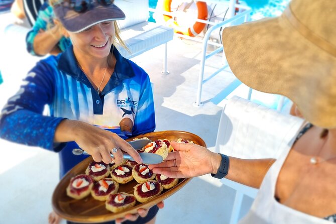 Snubfin Dolphin Eco Cruise From Broome - Wildlife Sightings and Activities