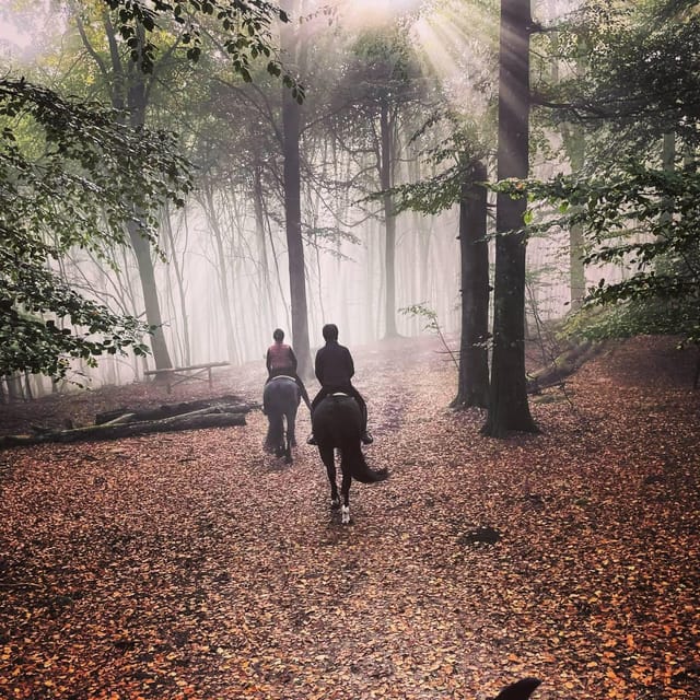 Söderåsen National Park: 1.5-Hour Horseback Ride - What to Bring