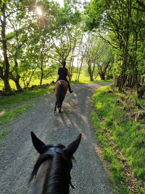 Söderåsen National Park: Horseback Riding Vacation 2 Nights - Guided Horseback Rides