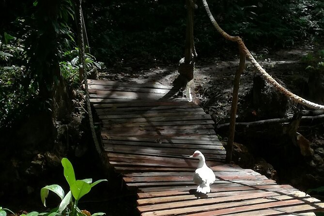 Soufriere Catamaran Excursion & Sapphire Falls Hike - Transportation Options