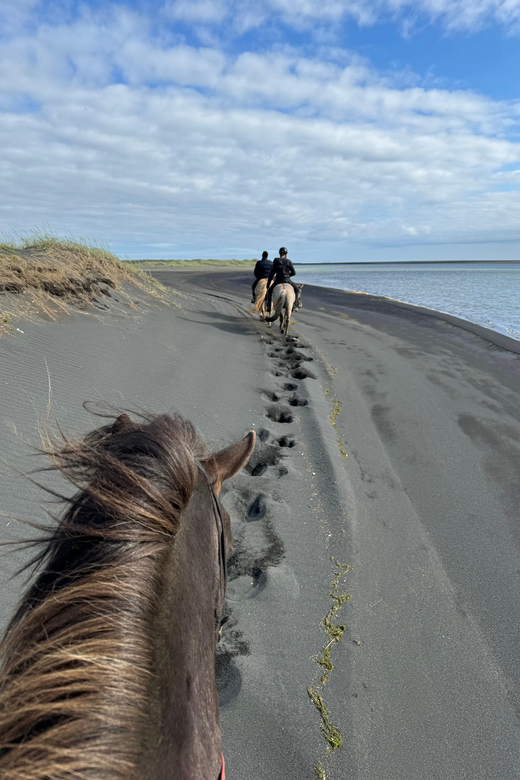 South of Iceland: Black Beach Riding Tour - What to Bring Along