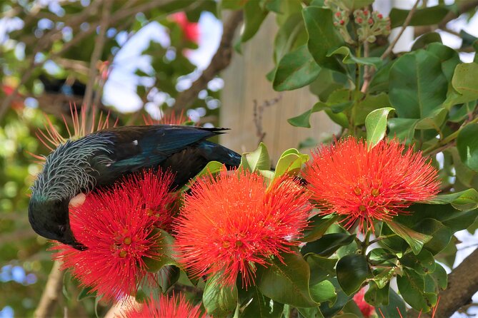 Spectacular Wellington: Full Day Private Sightseeing Tour - Guest Reviews and Experiences