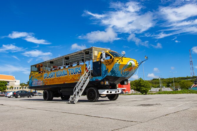Splashy Iguana Tour in Curacao - Customer Testimonials