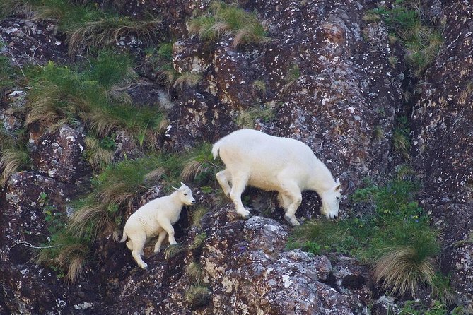 Spring Wildlife Cruise - Meeting and Departure Details