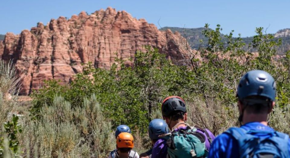 Springdale: Half-Day Canyoneering Experience - Customer Reviews