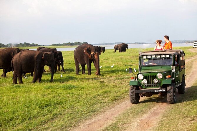 Sri Lanka; Professional Chauffeur Guide With Modern Vehicles - Pricing Structure and Offers