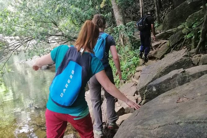 Sri Lanka Sinharaja Rain Forest Tour - Wildlife and Biodiversity