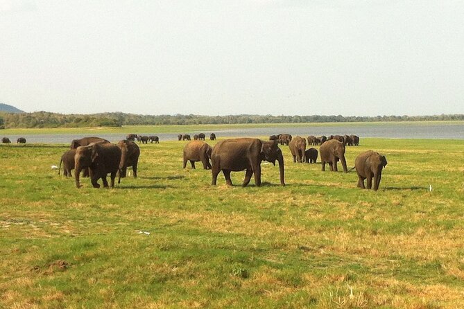 Sri Lanka Tour for 10 Days: Heritage, Culture and Beach - Transportation Details