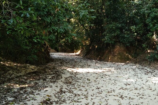 Srimangal Nature Tour in Forest and Tea Garden - Pricing Information