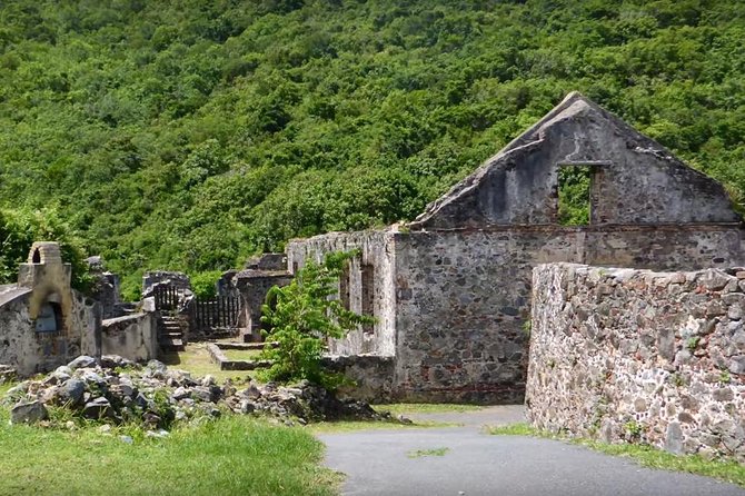 St John Island and Trunk Bay Beach Tour - Tips for a Great Tour