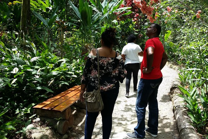 St Lucia Diamond Mineral Baths, Mud Baths & Waterfall Adventure - Visiting Toraille Waterfall