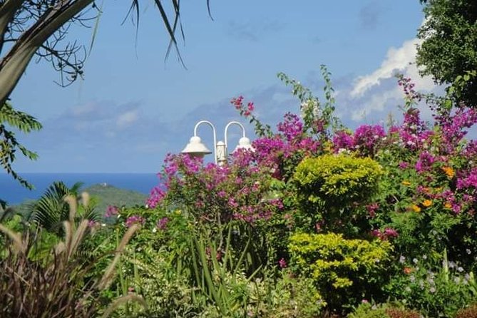 St Lucia Northern Island Tour - Accessibility Information
