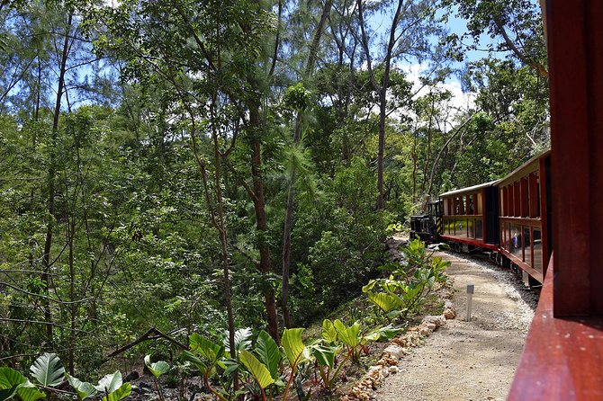 St.Nicholas Abbey Heritage Railway - Combo Tour Options