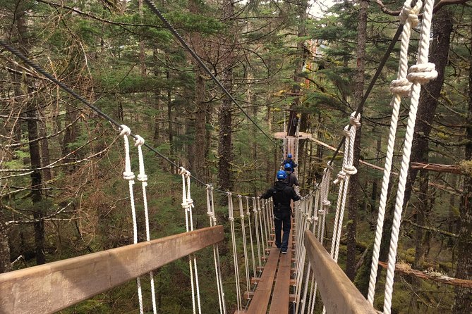 Stoney Creek Canopy Adventure - Customer Experiences